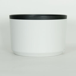 Canon RF70-200mm F2.8 L IS USM