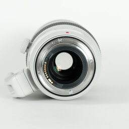 Canon EF100-400mm F4.5-5.6L IS II USM