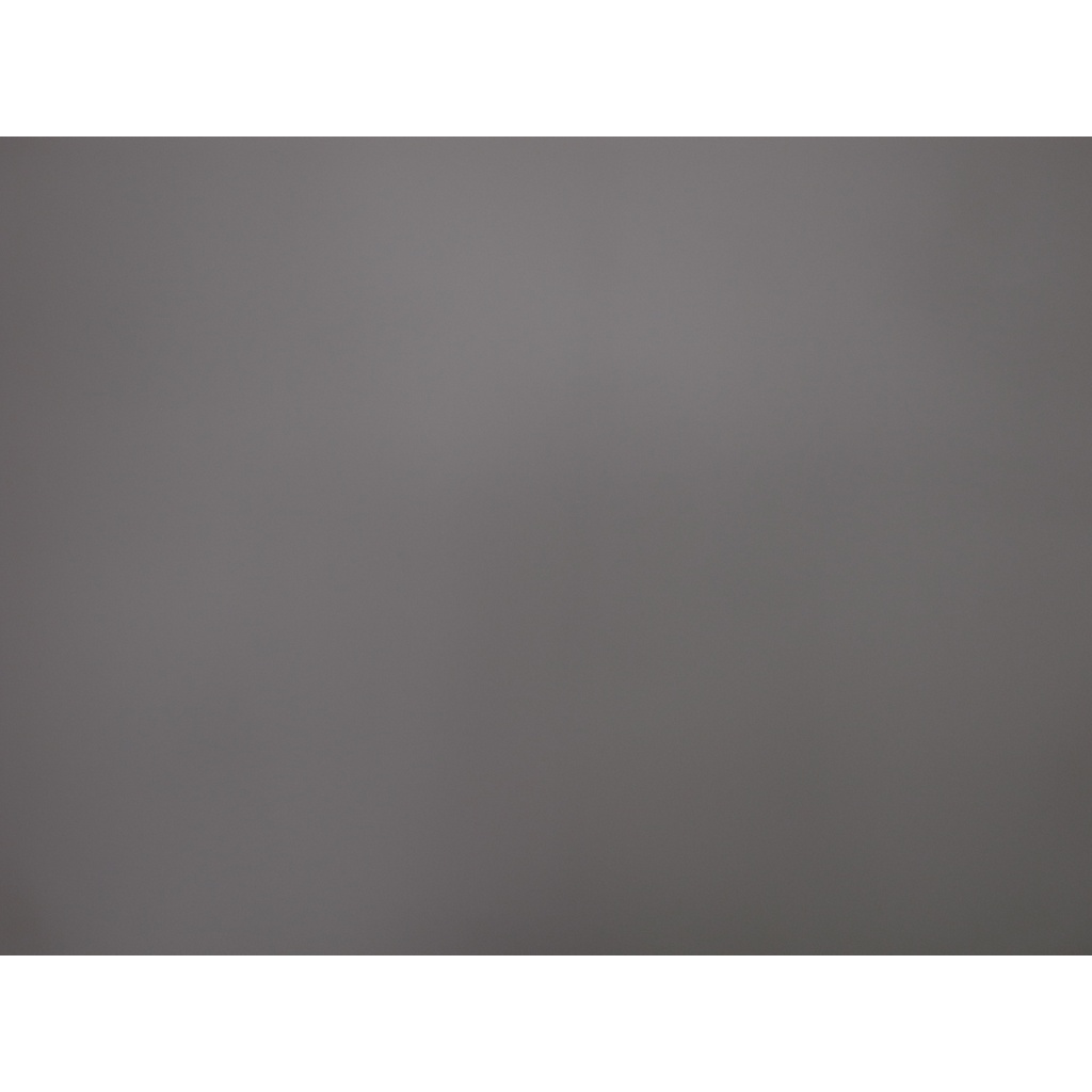 RICOH GR DIGITAL III