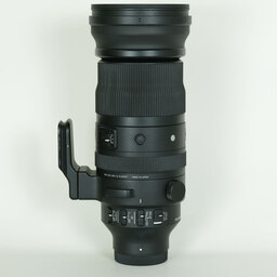 SIGMA 150-600mm F5-6.3 DG DN OS｜Sports [ソニーE用]