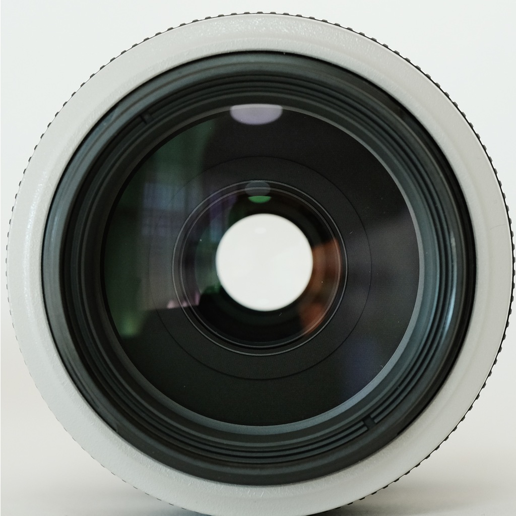 Canon EF70-300mm F4-5.6L IS USM