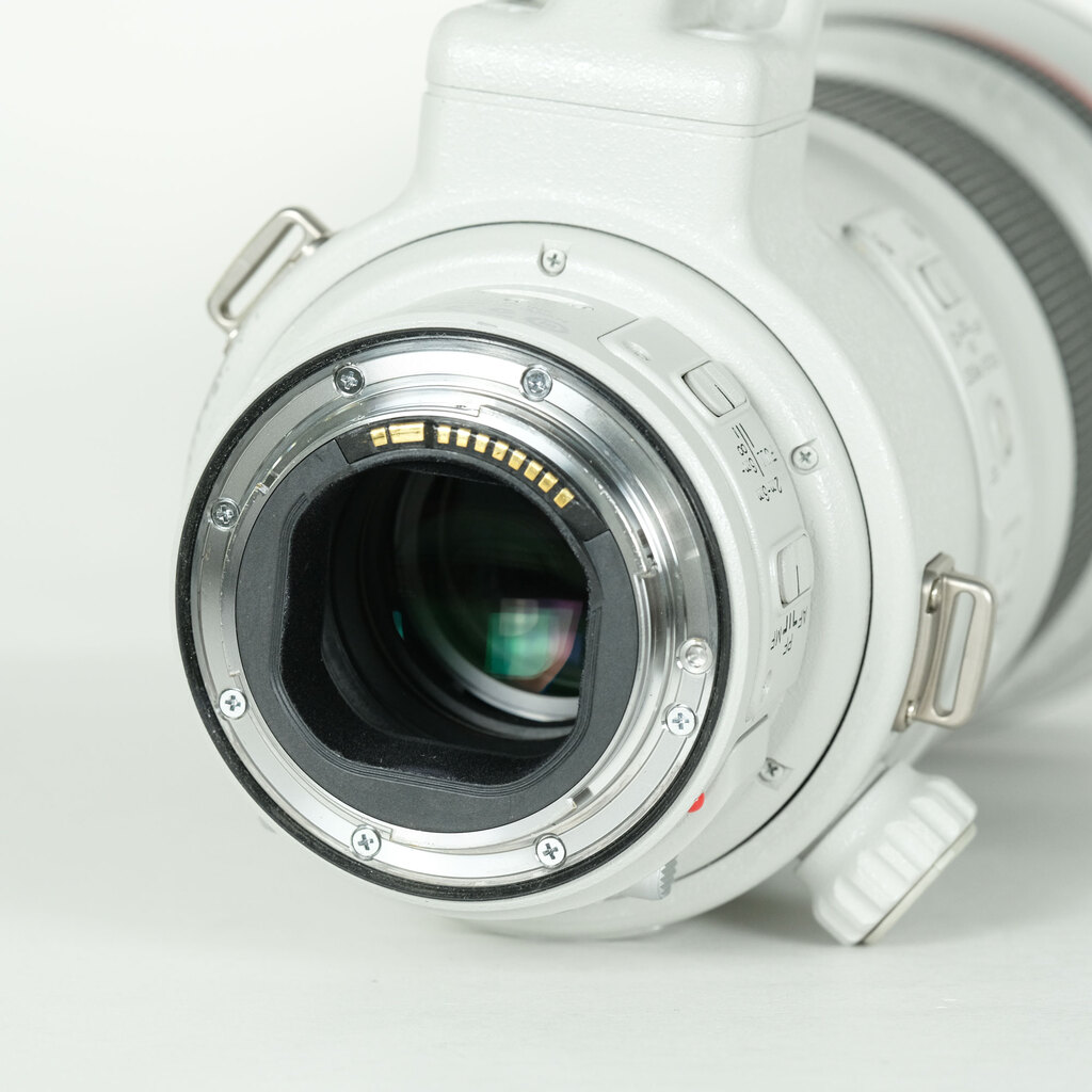 Canon EF300mm F2.8L IS II USMの出品 | ONE SCENE（ワンシーン）