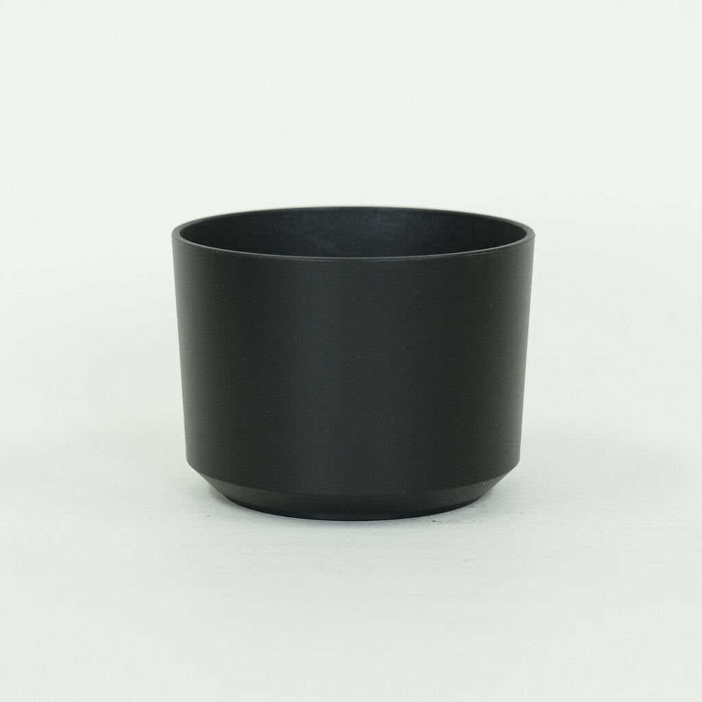 SONY E 55-210mm F4.5-6.3 OSS SEL55210