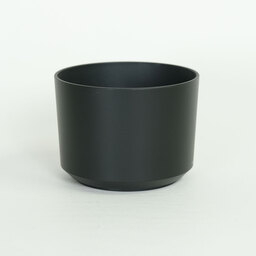 SONY E 55-210mm F4.5-6.3 OSS SEL55210