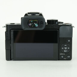 Panasonic LUMIX DC-G100