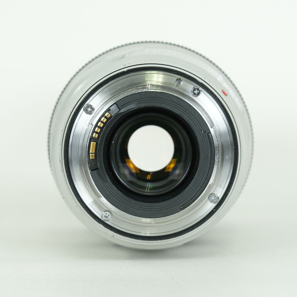 Canon EF70-300mm F4-5.6L IS USM