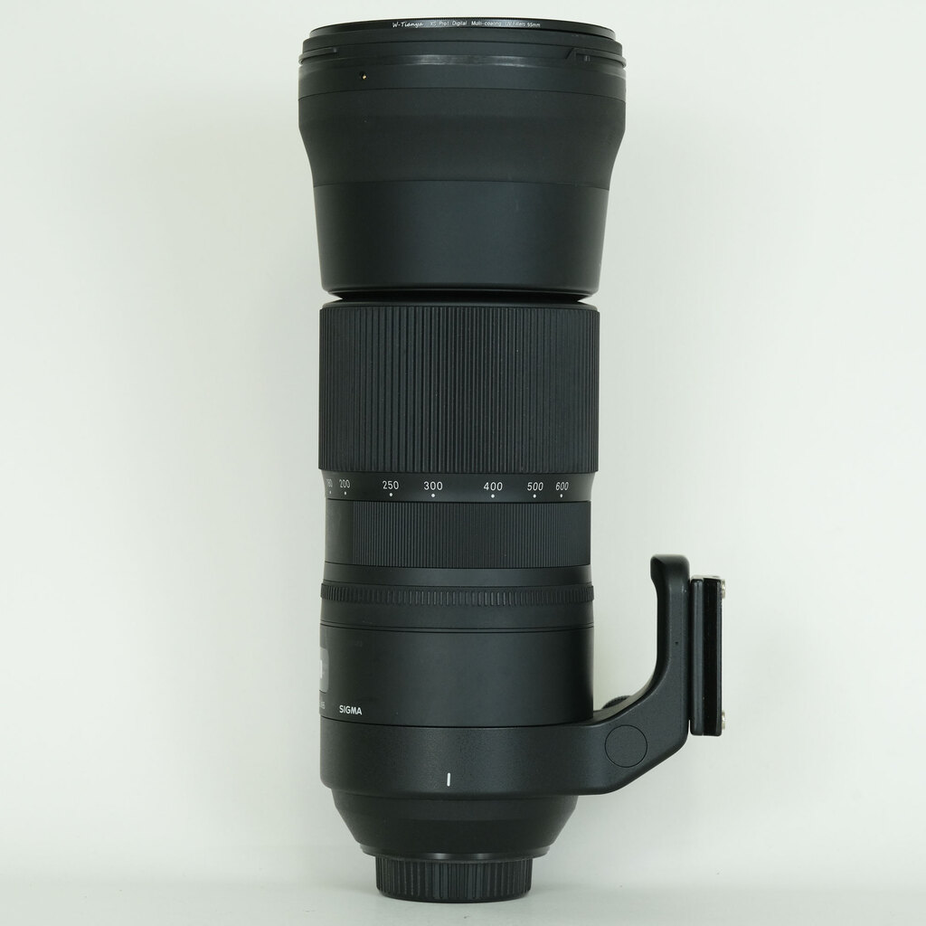 SIGMA 150-600mm F5-6.3 DG OS HSM｜Contemporary [ニコンF用]