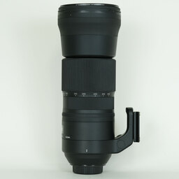 SIGMA 150-600mm F5-6.3 DG OS HSM｜Contemporary [ニコンF用]