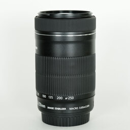 Canon EF-S55-250mm F4-5.6 IS STM