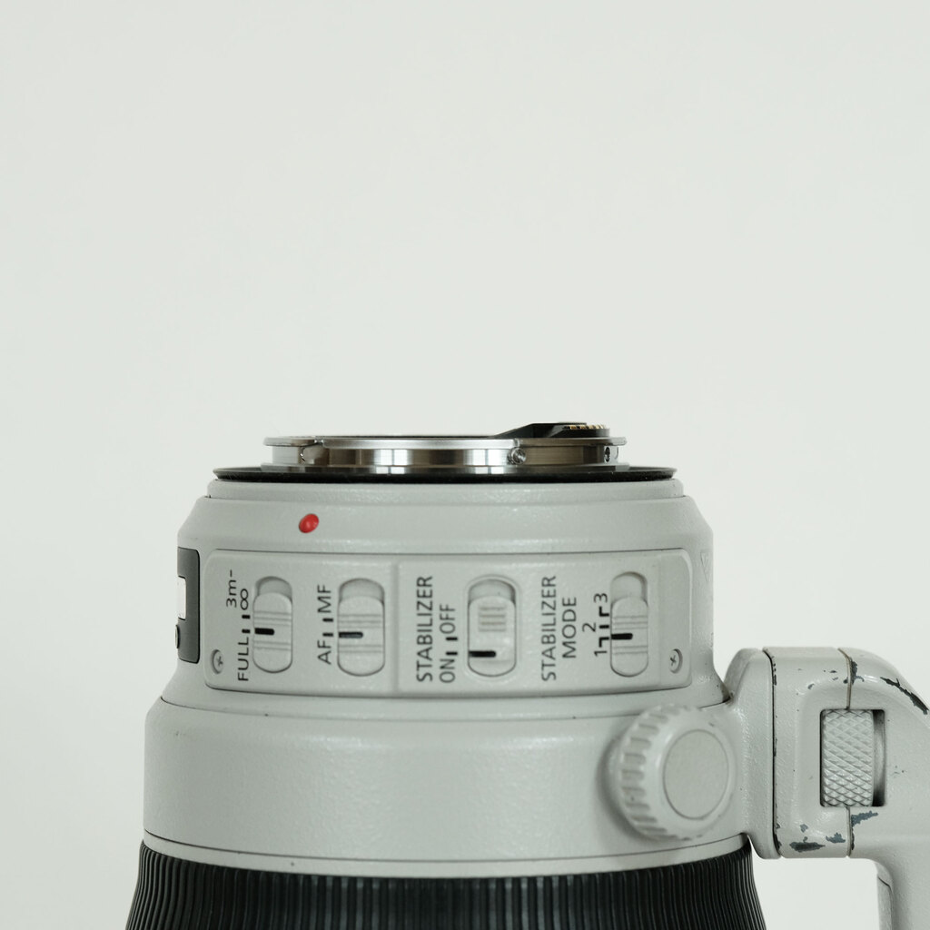 Canon EF100-400mm F4.5-5.6L IS II USM