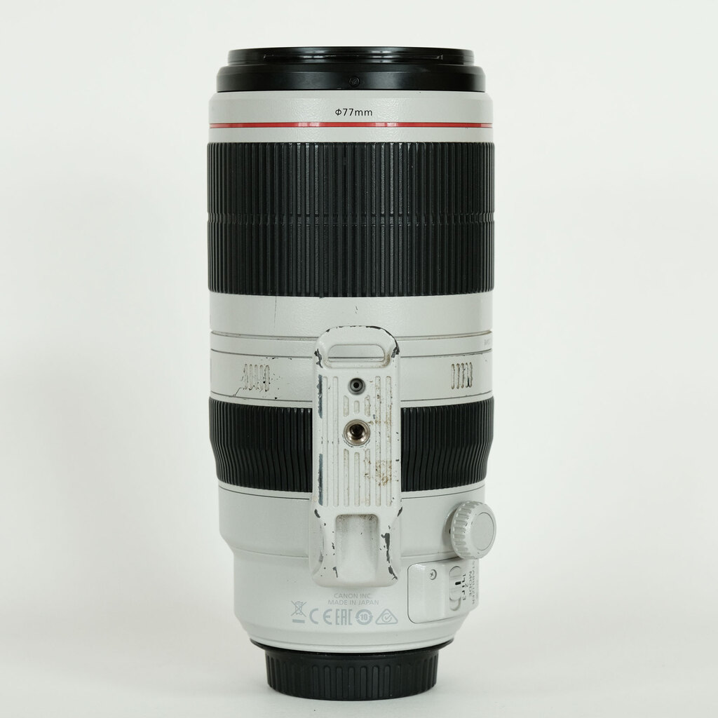 Canon EF100-400mm F4.5-5.6L IS II USM