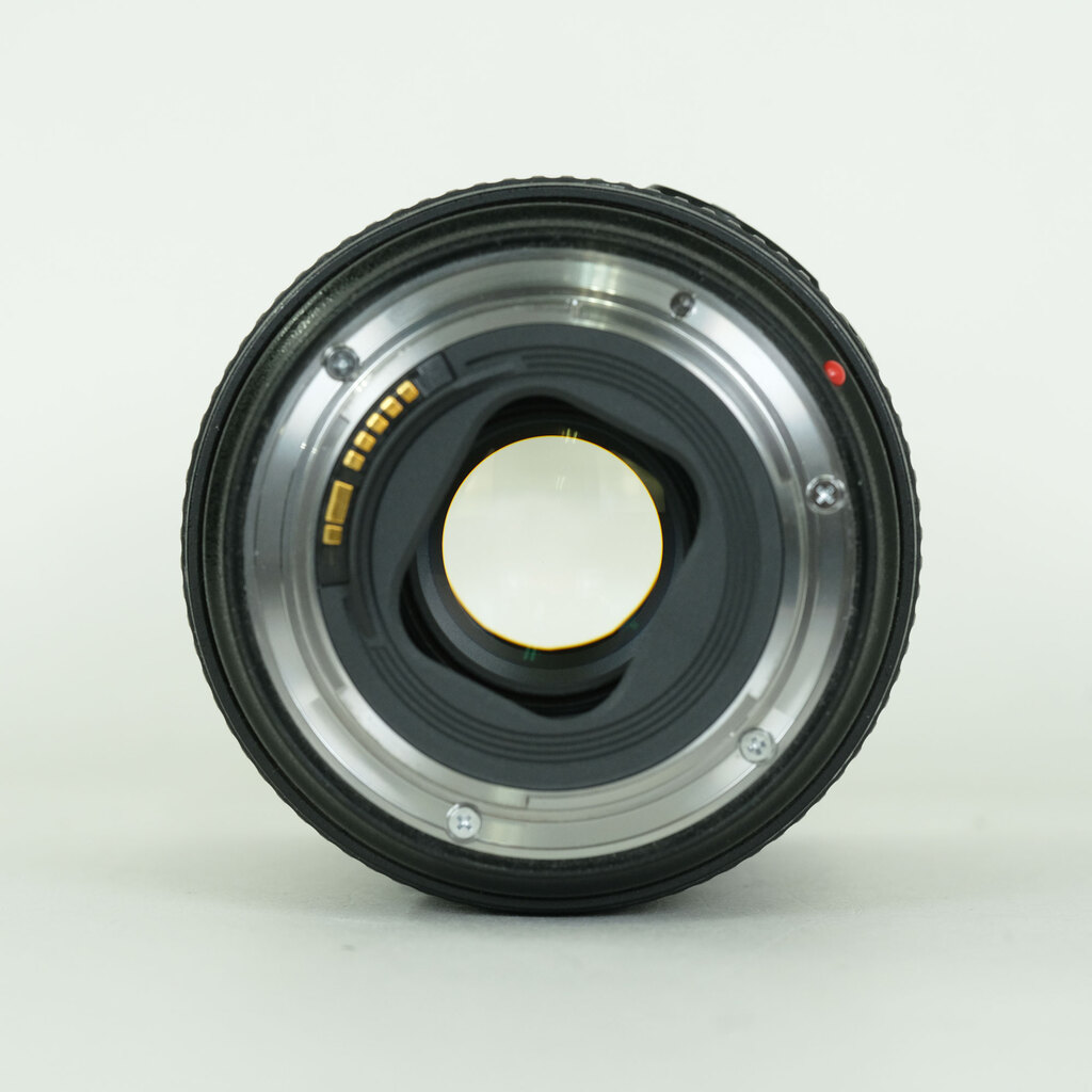 Canon EF24-105mm F4L IS II USM