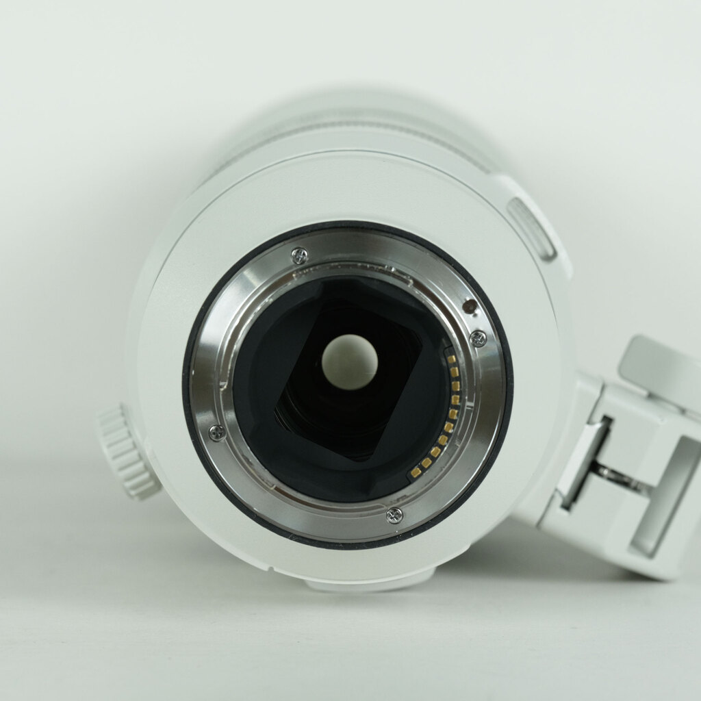 SONY FE 200-600mm F5.6-6.3 G OSS SEL200600Gの出品 | ONE SCENE