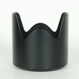 TAMRON SP 70-200mm F/2.8 Di VC USD G2 (Model A025) [ニコンF用]