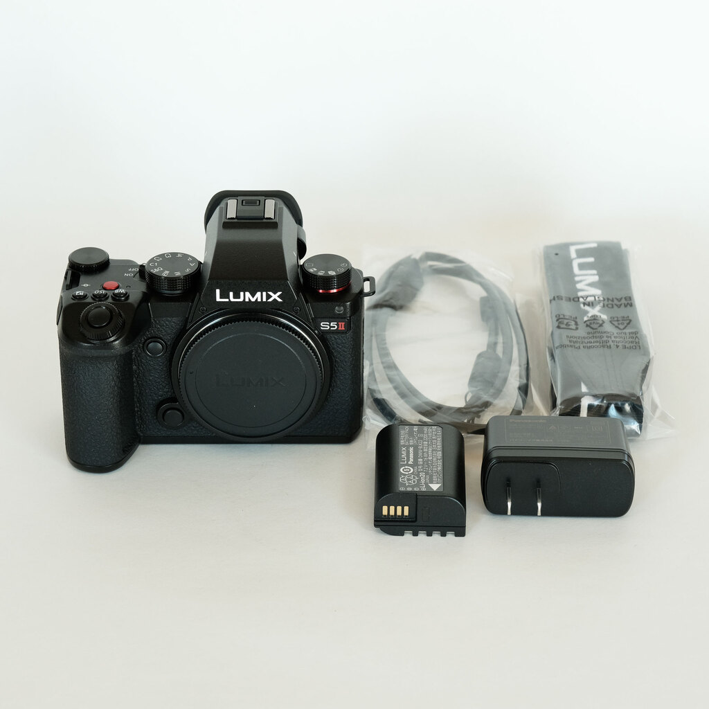 Panasonic LUMIX S5II DC-S5M2の出品 | ONE SCENE（ワンシーン）