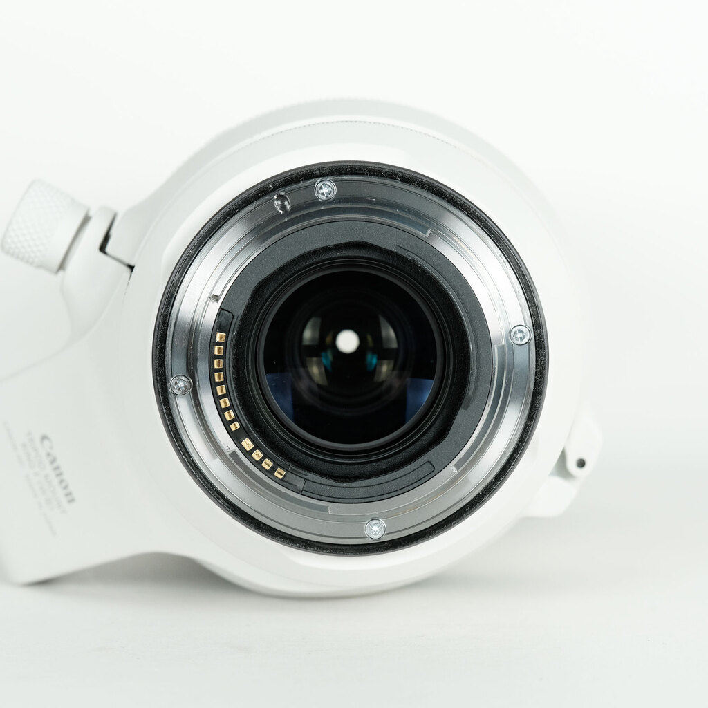 Canon RF100-500mm F4.5-7.1L IS USM