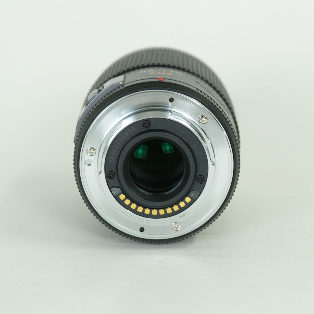 Panasonic LUMIX G X VARIO PZ 45-175mm / F4.0-5.6 ASPH. / POWER O.I.S.