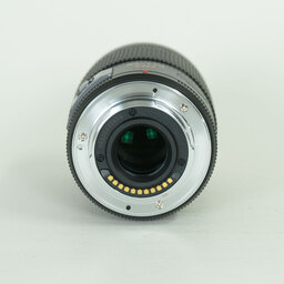 Panasonic LUMIX G X VARIO PZ 45-175mm / F4.0-5.6 ASPH. / POWER O.I.S.