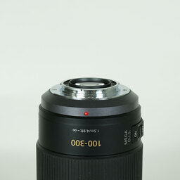 Panasonic LUMIX G VARIO 100-300mm / F4.0-5.6 / POWER O.I.S.