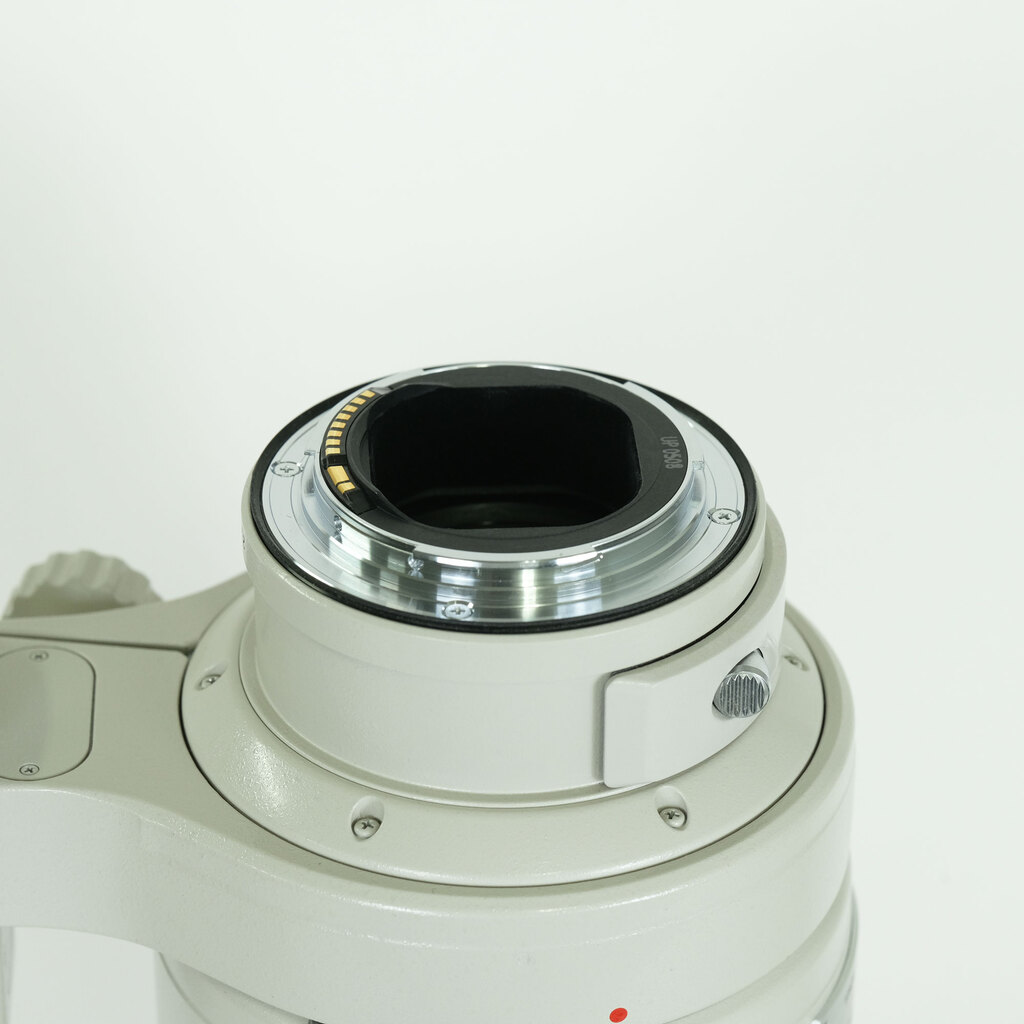 Canon EF300mm F2.8L IS USM