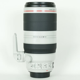 Canon EF100-400mm F4.5-5.6L IS II USM