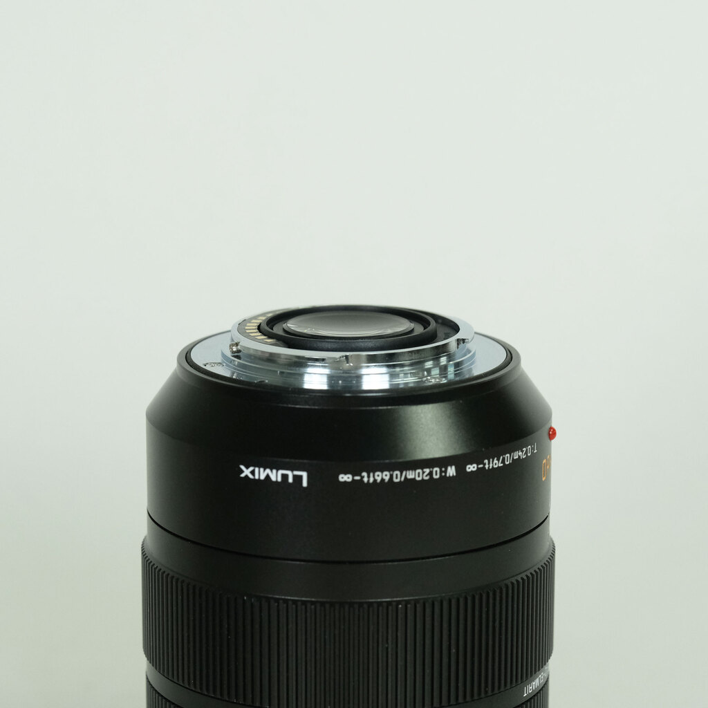Panasonic LEICA DG VARIO-ELMARIT 12-60mm / F2.8-4.0 ASPH. / POWER O.I.S.