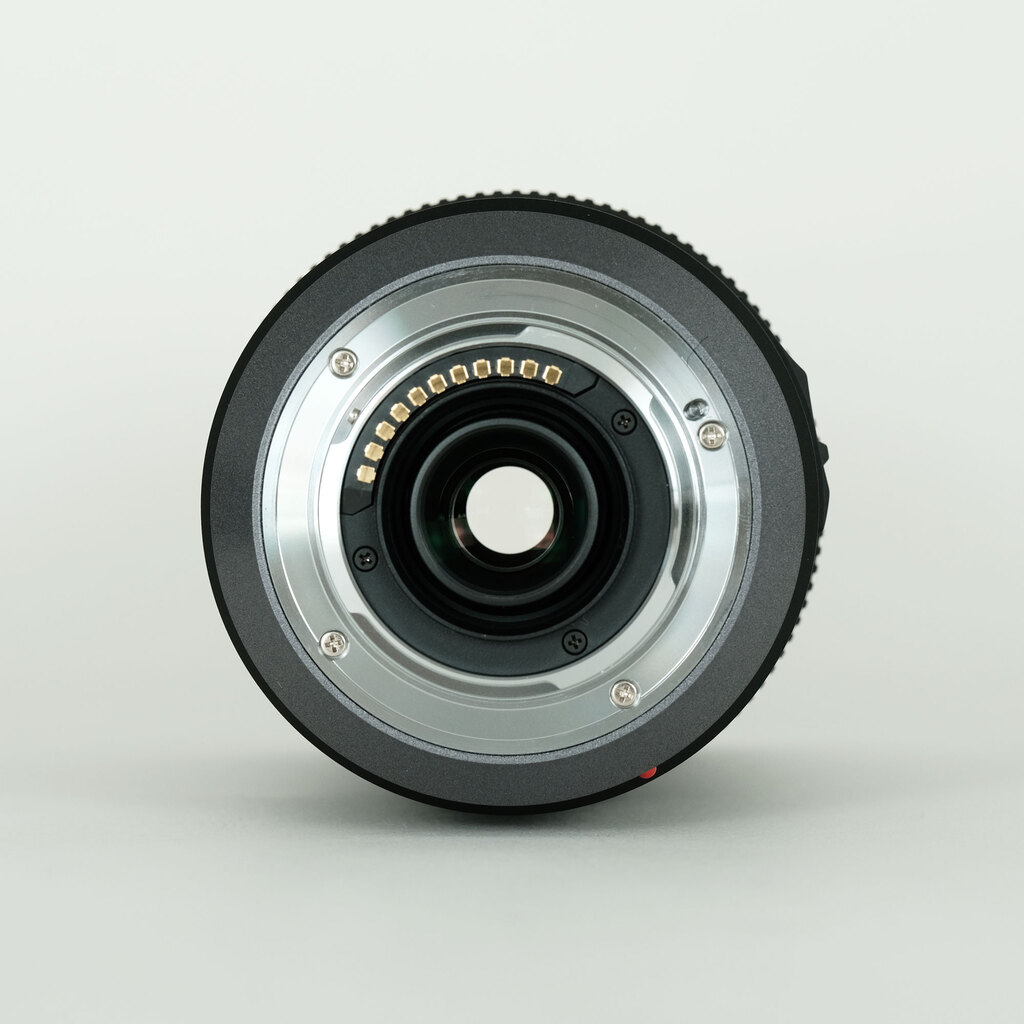 Panasonic LUMIX G VARIO 100-300mm / F4.0-5.6 / POWER O.I.S.