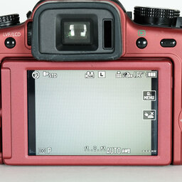 Panasonic LUMIX DMC-G2K-R コンフォートレッド