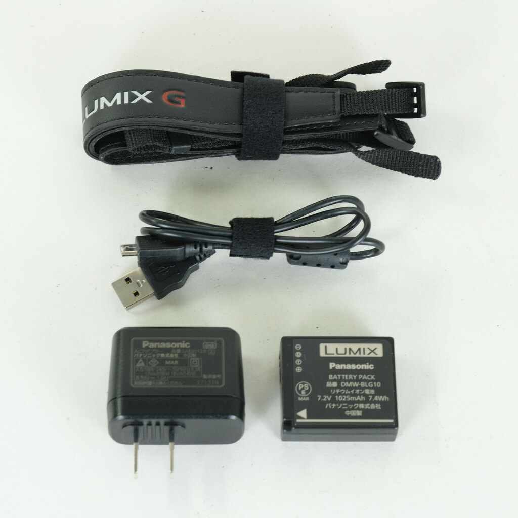 Panasonic LUMIX DC-G100