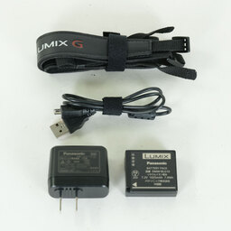 Panasonic LUMIX DC-G100