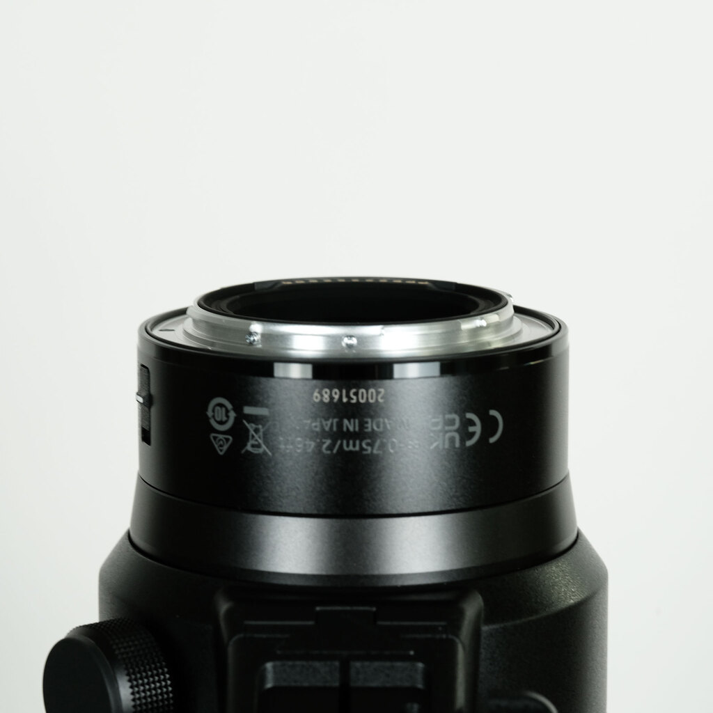 Nikon NIKKOR Z 100-400mm f/4.5-5.6 VR S