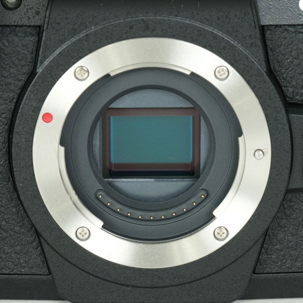Panasonic LUMIX DC-G99D ボディ ブラックの出品 | ONE SCENE（ワン