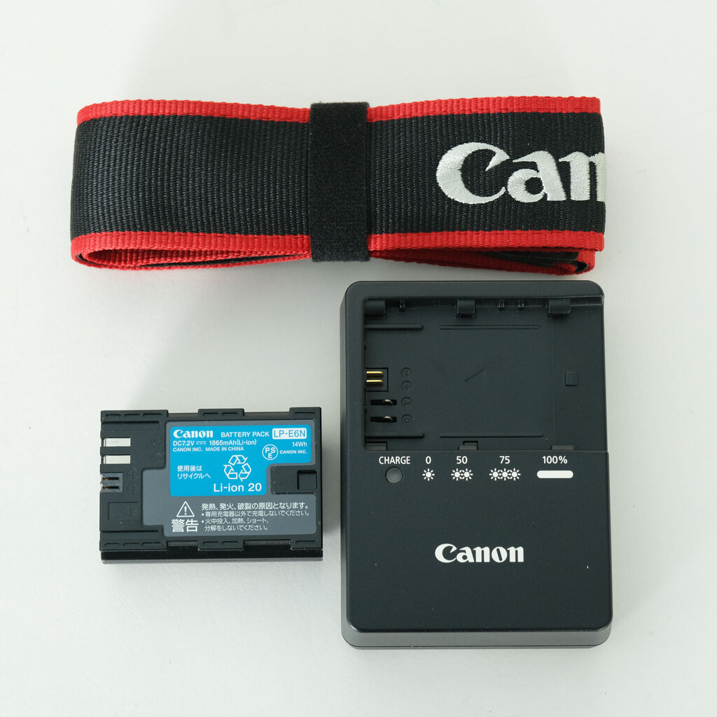 Canon EOS 6D Mark II