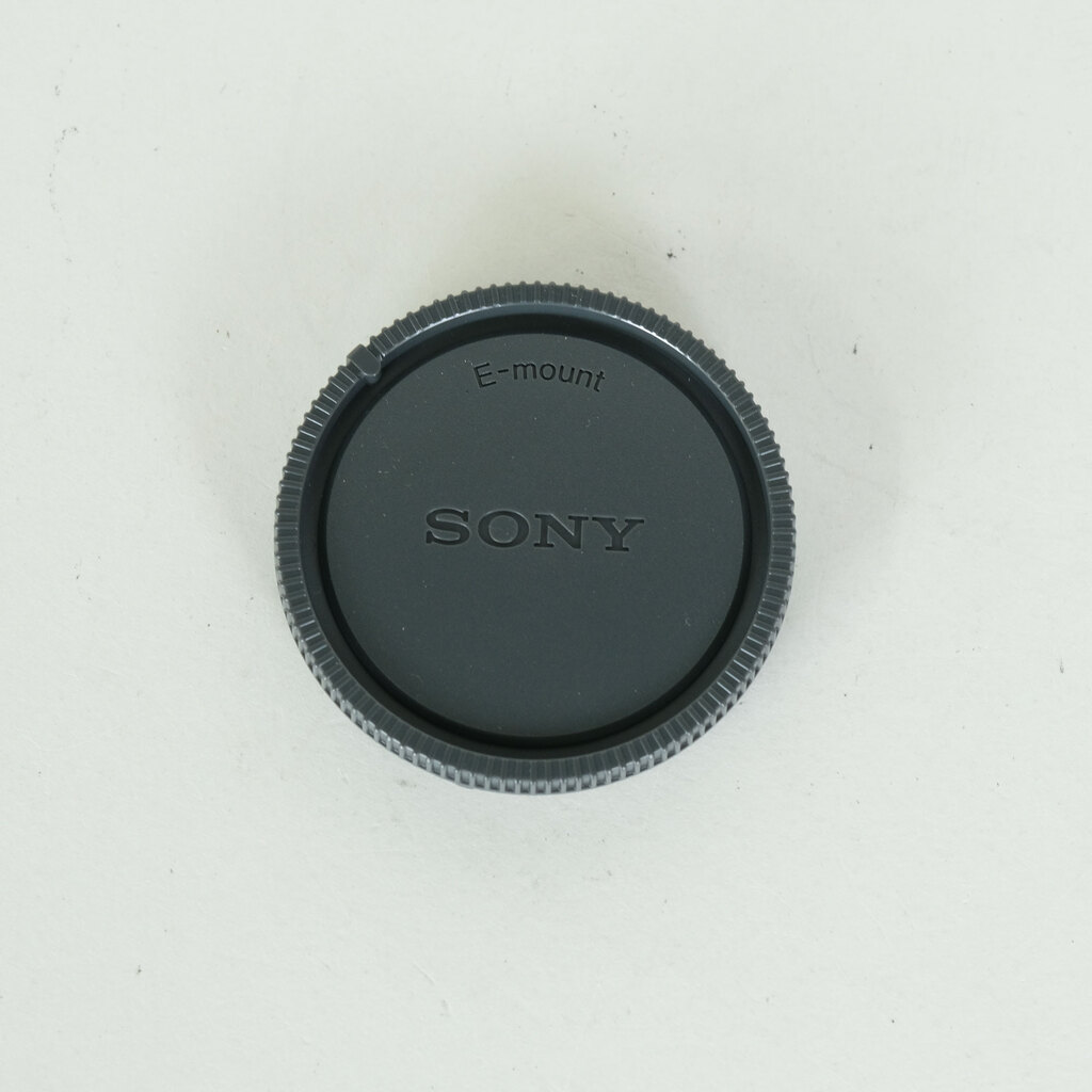 SONY FE 24-105mm F4 G OSS SEL24105G