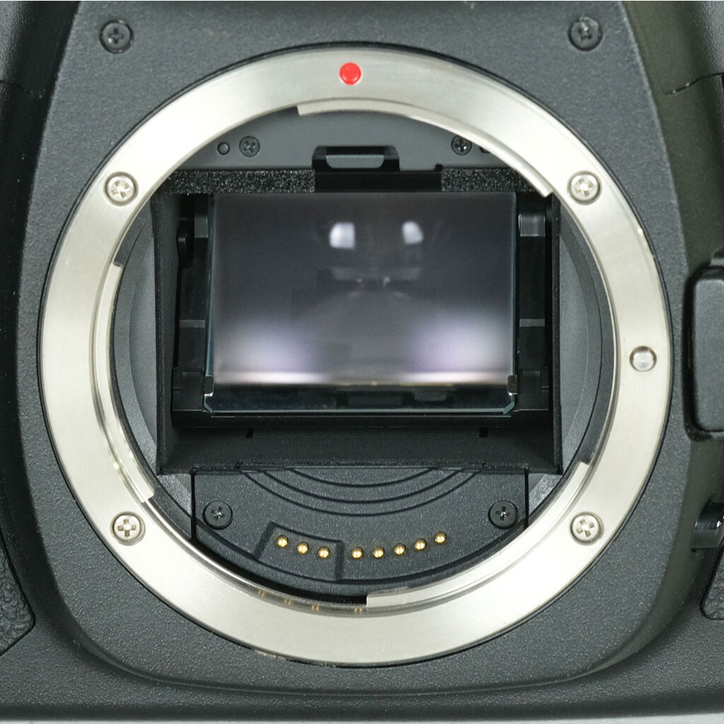 Canon EOS 5D MarkII ボディ