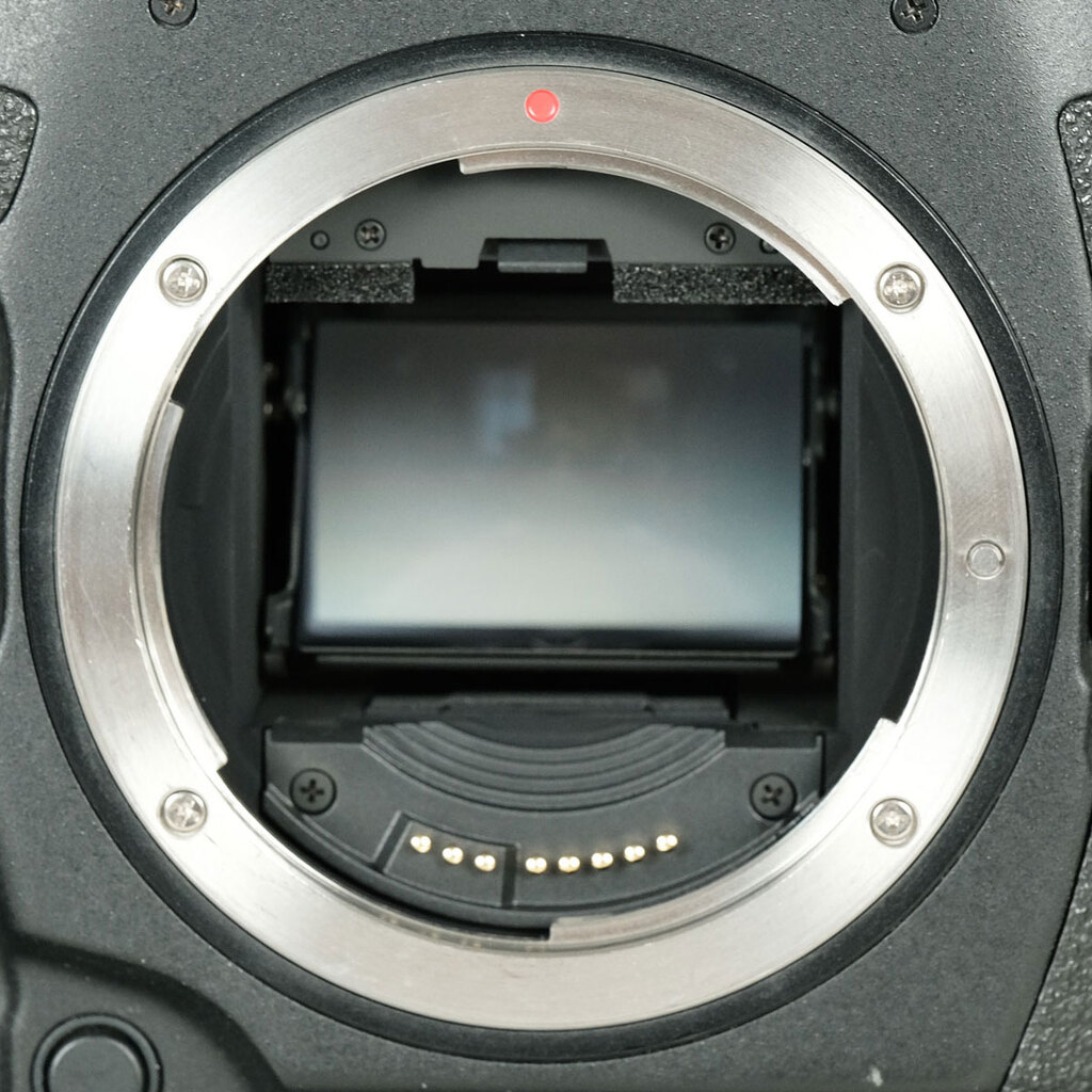 Canon EOS-1D X Mark III