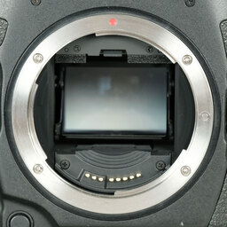 Canon EOS-1D X Mark III