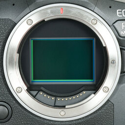 Canon EOS R6 Mark II