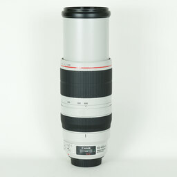 Canon EF100-400mm F4.5-5.6L IS II USM