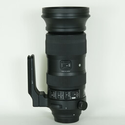 SIGMA 60-600mm F4.5-6.3 DG OS HSM | Sports [キヤノン用]