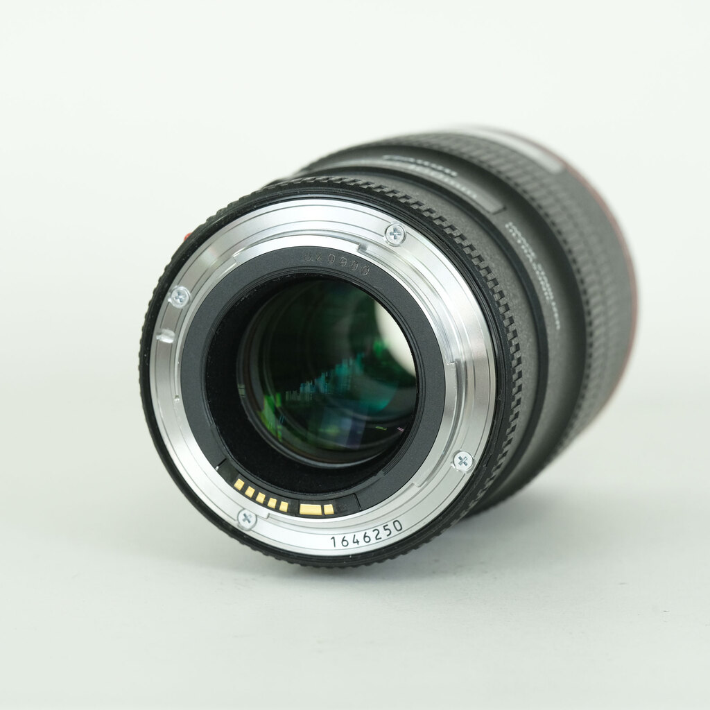 Canon EF100mm F2.8Lマクロ IS USM