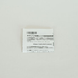 Canon RF24-105mm F4 L IS USM