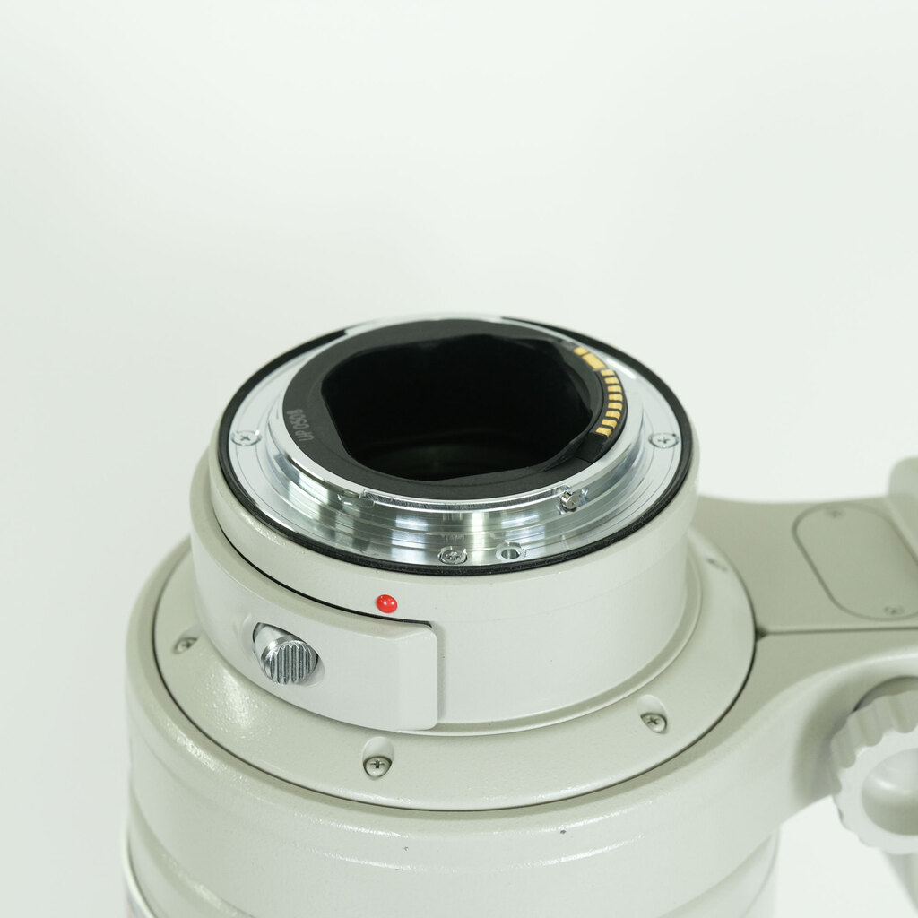 Canon EF300mm F2.8L IS USM