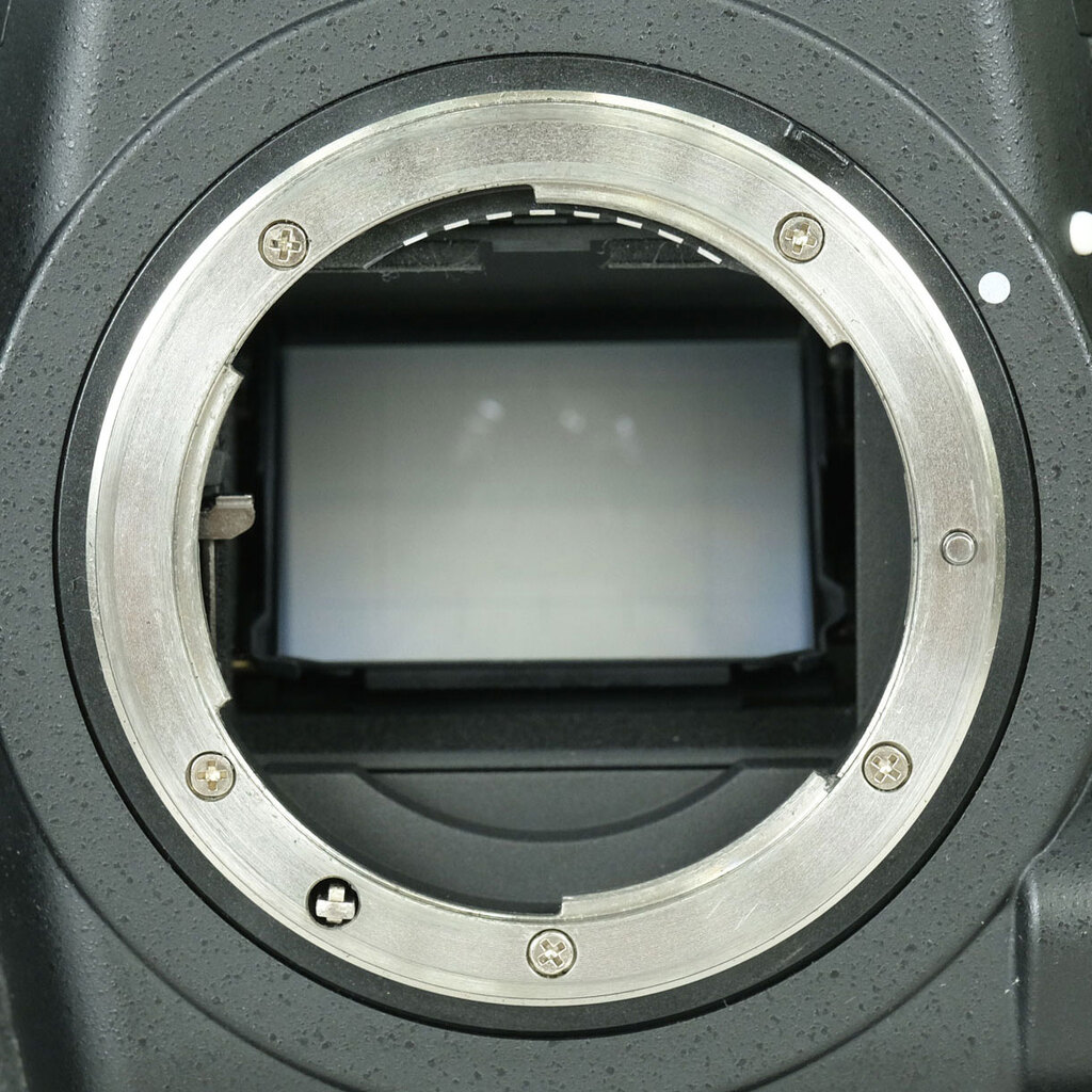 Nikon D4S Nikon D4S