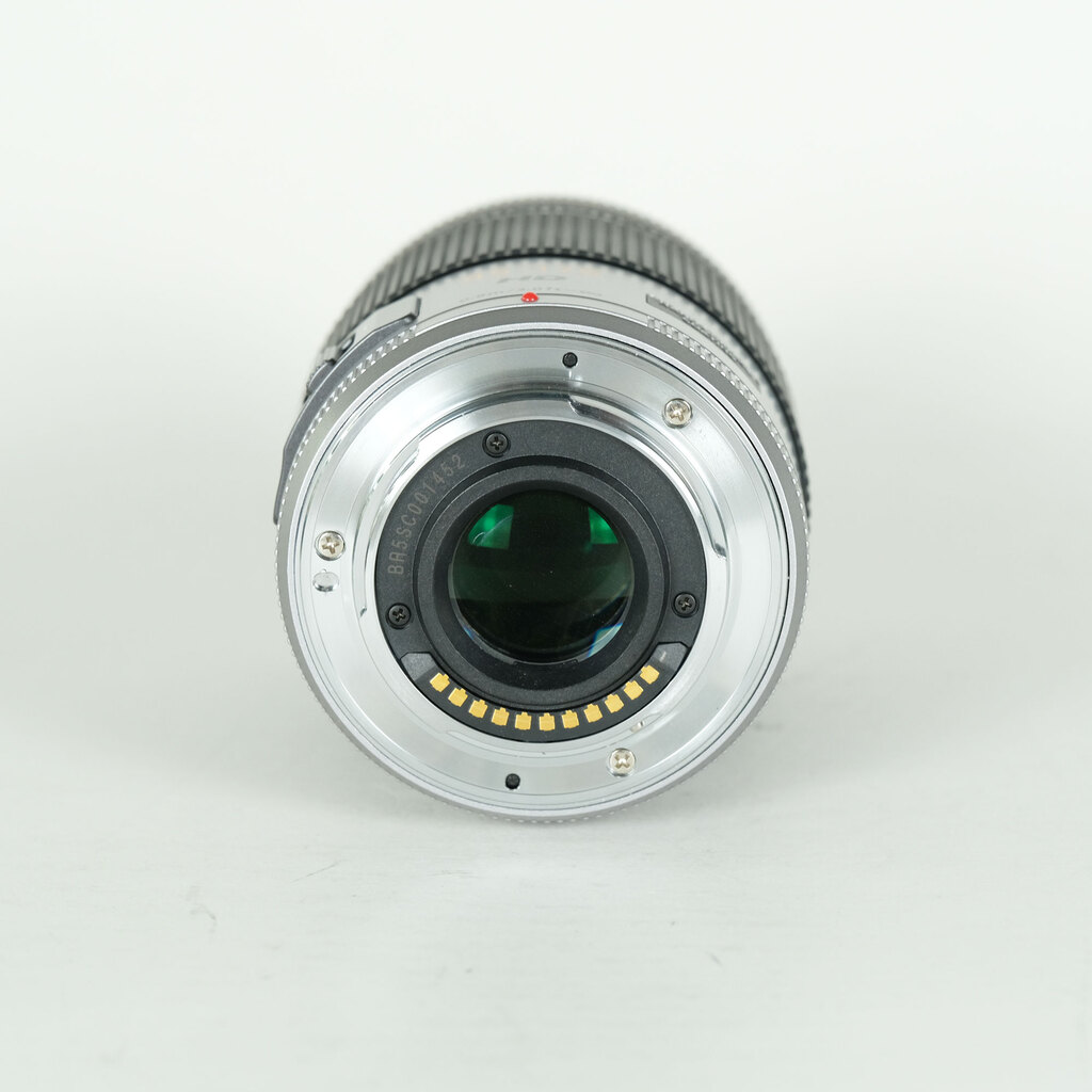 Panasonic LUMIX G X VARIO PZ 45-175mm / F4.0-5.6 ASPH. / POWER