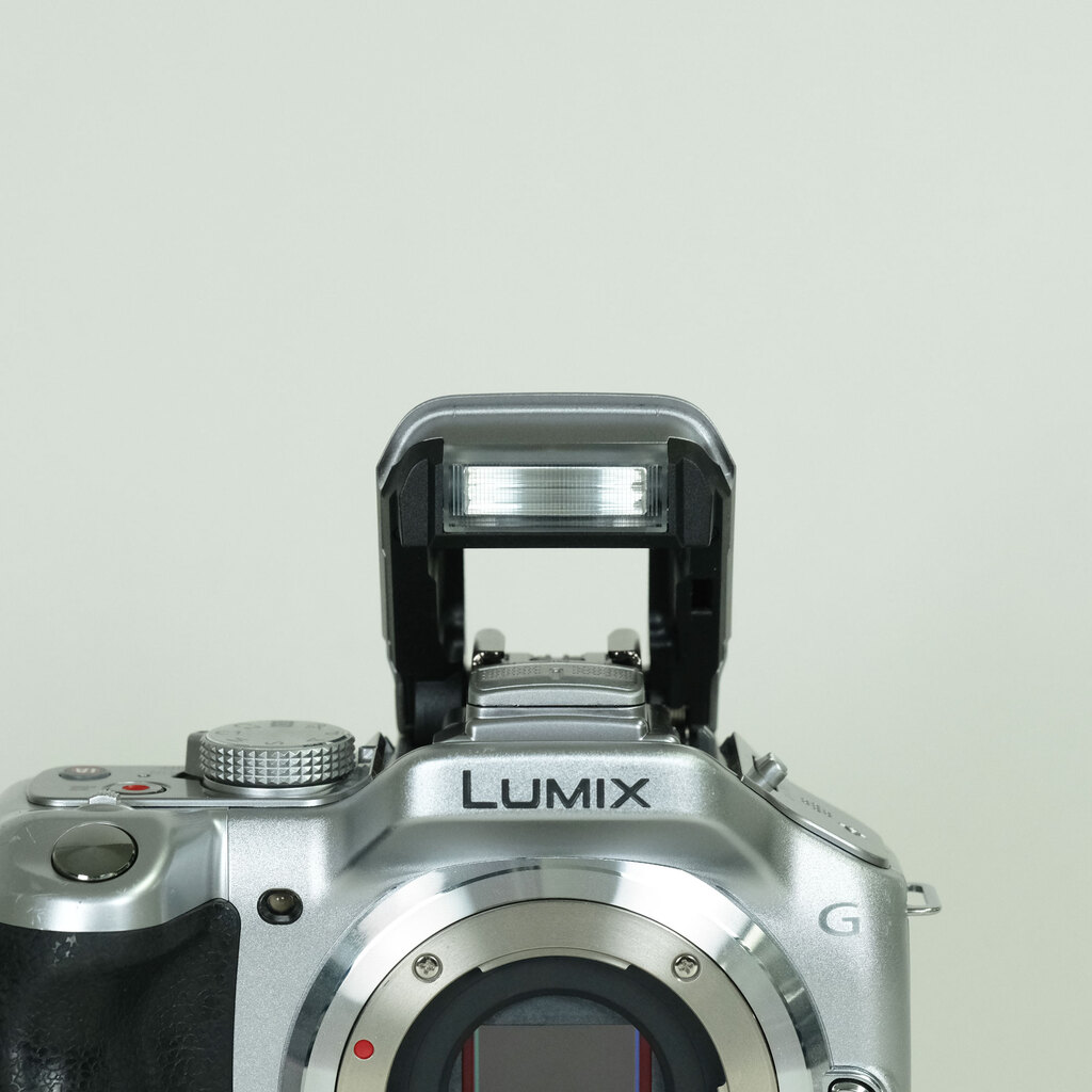 Panasonic LUMIX DMC-G5-S ボディ ソリッドシルバー