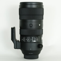 SIGMA 70-200mm F2.8 DG OS HSM｜Sports [ニコン用]