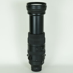 SIGMA 150-600mm F5-6.3 DG DN OS｜Sports [ソニーE用]