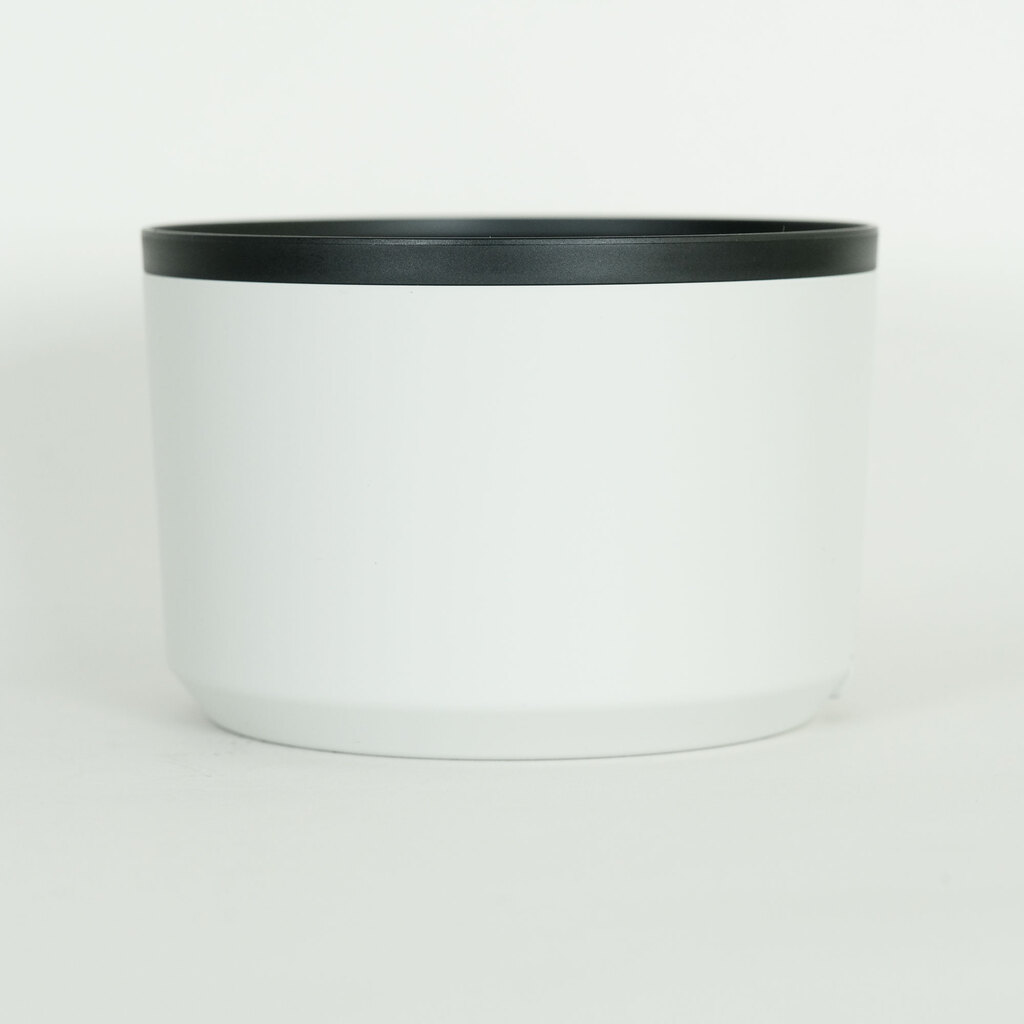 Canon RF70-200mm F2.8 L IS USM