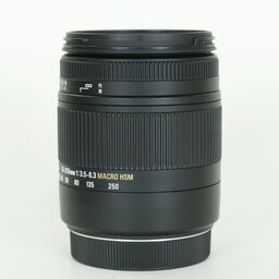 SIGMA 18-250mm F3.5-6.3 DC MACRO OS HSM (キヤノンEF用)